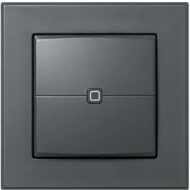 Homematic IP Wandtaster 2-fach, anthrazit