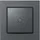 Homematic IP Wandtaster 2-fach, anthrazit