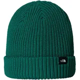 THE NORTH FACE NF0A55JGNL11 TNF Fisherman Beanie Evergreen Hat Unisex Adult Evergreen Größe OS