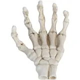 SUPYINI Halloween-Skelett-Hände, Hohe Härte, Korrosion, Leichte Handknochen-Ornamente für Knochen, Zombie-Party, Terror, Gruselige Requisiten, Halloween-Dekorationen