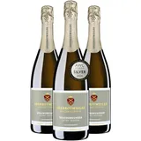 Oberrotweiler Grauburgunder Sekt Extra trocken - SILBER 2025 AWC Vienna - fülliger, kräftiger Geschmack, perfekt als Aperitif - Badischer Winzersekt (3 x 0,75l)