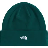 The North Face Norm Beanie hunter green (1KI) OS