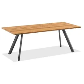 Niehoff Noah Gartentisch 160 x 95 x 76 cm Teak geölt/braun