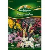 Quedlinburger Beet Stauden ''Bunte Mischung''