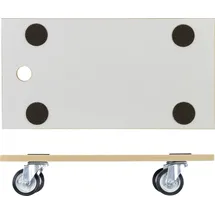 Wagner Transportroller 250 kg