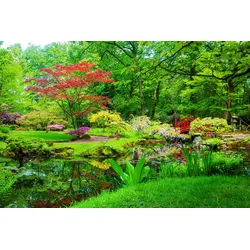 Fototapete PAPERMOON "GARTEN-BLUMEN BÄUME PFLANZEN STEINE WALD PARK BLÜTEN", bunt, B:4,00m L:2,60m, Vlies, Tapeten