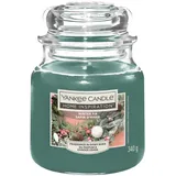 Yankee Candle Duftkerze Mittleres Glas Winter Fir 340 g, tannengrün