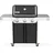 Weber Genesis Gasgrill