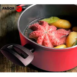 Fagor Maxima Kochtopf 20 cm rund