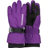 Didriksons Biggles Handschuhe Royal Purple 3
