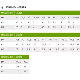 Dolomite Herren 54 Low FG Evo GTX braun