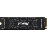 Kingston Fury Renegade