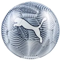 Puma Final Graphic Miniball