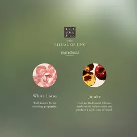 RITUALS The Ritual of Jing Night Rescue Hand and Foot Mask