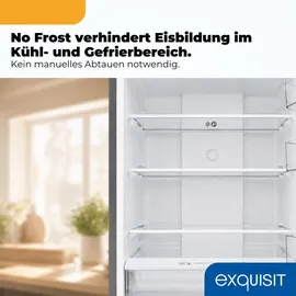 Exquisit KGC5400-130-NF-040D Kühl-Gefrierkombination (400 l, 1860 mm hoch, Grau)