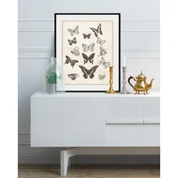 queence Bild »Pamela«, Schmetterlinge-Kunst-Insekten-historische Ereignisse, (1 St.), HD Premium Poster-Druck inkl. Holzrahmen queence schwarz