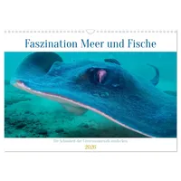 Calvendo Faszination Meer und Fische (Wandkalender 2026 DIN A3