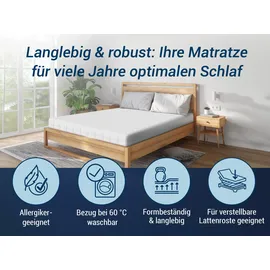 Betten-ABC TriFlex Hybrid 100 x 200 cm soft