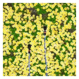 Relaxdays Sprühregner 2er Set 6 m schwarz