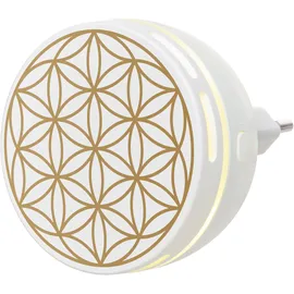 Primavera Aroma Duftstecker Easy