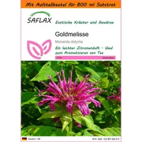 SAFLAX - Garden in the Bag - Kräuter -
