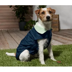 Tchibo - Hundemantel - blau