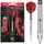 Target Darts Nathan Aspinall G2 24 g