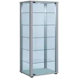 VCM Standvitrine Kavisa L 50 x 38 x 115 cm Silber
