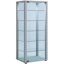 VCM Standvitrine Kavisa L 50 x 38 x 115 cm Silber