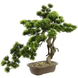 I.GE.A. Kunstpflanze I.GE.A. Bonsai Baum in Schale", grün, B:48cm H:58cm L:30cm, Kunststoff, Kunstpflanzen, Kunstpflanze, Exotische Bäume Zen Garten
