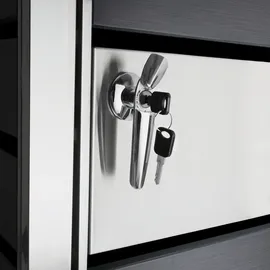 Zelsius Mülltonnenbox 3er 120 - 240 l anthrazit