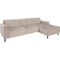 DOMO collection Ecksofa »Amora, inklusive komfortablem Federkern für mehr