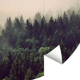 wall-art K&L Wall Art Vliestapete »Runde Vliestapete«, Nebel Wald Tannenwald Natur, mehrfarbig, matt - bunt