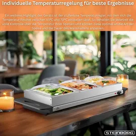 Steinborg Edelstahl Buffetwärmer Speisewärmer 4 Speisebehälter stufenlosen Temperaturregler BPA-frei 300 Watt