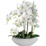 Kunstorchidee Orchidee Phalaenopsis Orchidee, Creativ green, Höhe 63 cm, mit real-touch-Blüten weiß