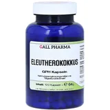 Hecht Pharma Eleutherokokkus GPH Kapseln 120 St.