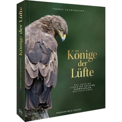 Könige der Lüfte