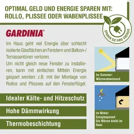 GARDINIA Easyfix Thermo Plissee abdunkelnd, Elfenbein