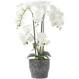 Homescapes Künstliche Weiße Phalaenopsis-orchidee im Dunkelgrauen Keramiktopf, 82 cm