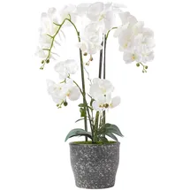 Homescapes Künstliche Weiße Phalaenopsis-orchidee im Dunkelgrauen Keramiktopf, 82 cm