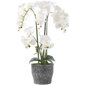 Homescapes Künstliche Weiße Phalaenopsis-orchidee im Dunkelgrauen Keramiktopf, 82 cm