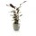 Ecopots Oslo Ø 25 x 21,8 cm Braungrau