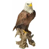 dazikemo Dekofigur Gartenfigur Weißkopfseeadler