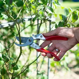 Siena Garden Astschere CG1030