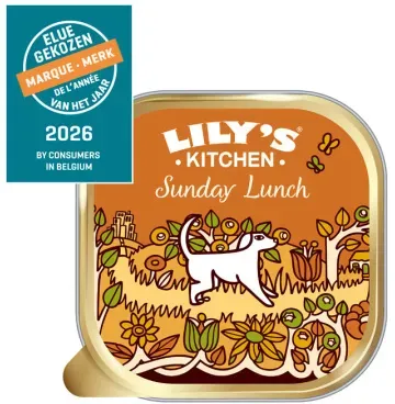 Lily's Kitchen Cottage Pie 150g
