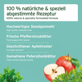 AniForte Denta Clean & Care Zahnpflege Pulver 300 g