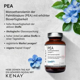 Kenay PEA Palmitoylethanolamid Levagen Kapseln 60 St.