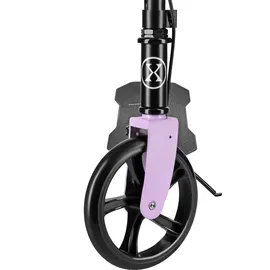 rosfix HM183 Rosa