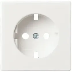 Busch-Jaeger ME-C-Scheibe m. Schraube zu 20 EUC-914 0043-1-3189