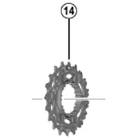 Shimano Ritzel für CS-R9200 17-19 Zähne